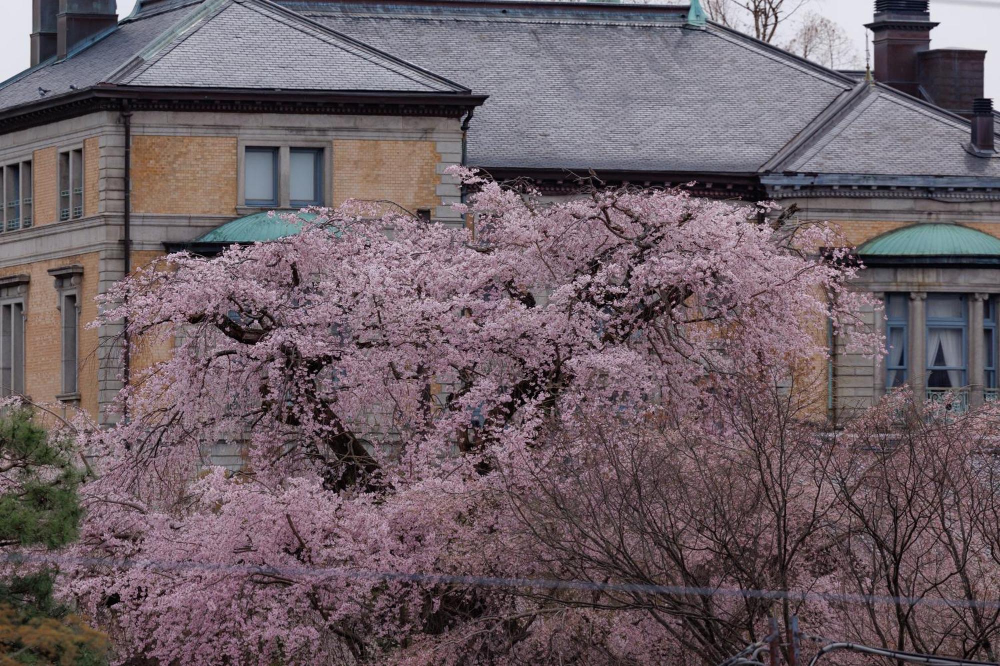 Hotel Chourakukan Kyoto Gion 長楽館 Eksteriør bilde